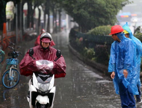 好奇背后：两主角竟因奶茶中的某些成分引发心跳加速，急需就医