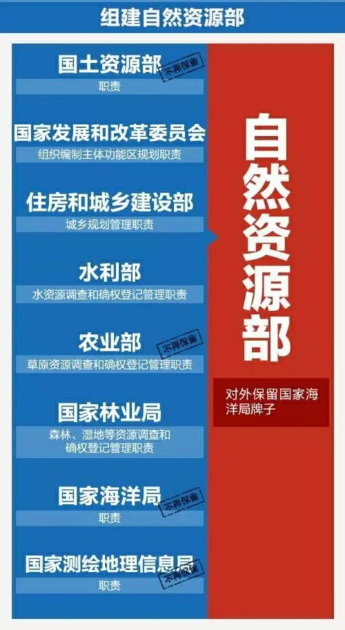 重要信息：关于胰腺问题的4个关键问题，帮助您更好地理解治疗方法