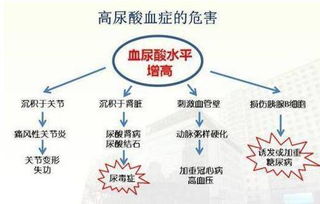 年轻时高尿酸血症对肾功能的影响: 最佳血尿酸水平是多少？