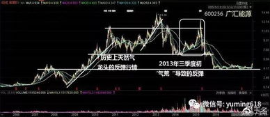 燃气价格上涨：谁能从中受益？探讨各利益相关者的可能性