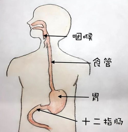 溃疡性结肠炎的自我治愈经验：五个坚持让你迅速恢复健康