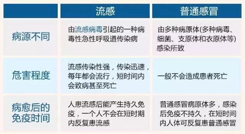 1.36.2版头环即将推出，价格上涨，但强大功能不容忽视