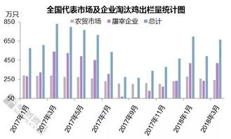 日元价格波动下的过山车投资风险分析