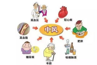 世界预防中风日：关注夏季脑卒中的高发与应对策略