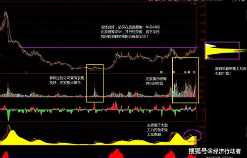 精准预测与内幕交易：A股市场的微妙关系分析