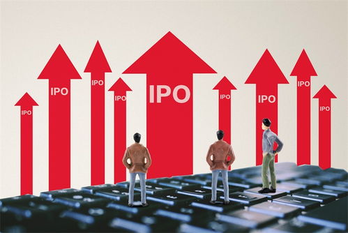 160家公司终止IPO 红利潮涌动，中国股市正在重塑生态