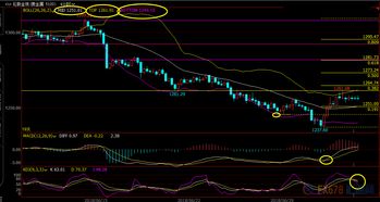 买卖黄金与白银：年内赚取30%收益，是时候考虑上车了吗？