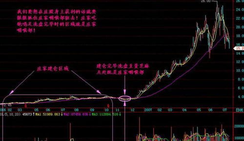 揭秘股市中的高息股定价机制：理解其背后的经济逻辑