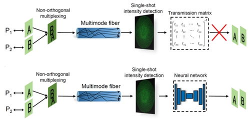 科学家利用深度学习构建多样化的多模光纤网络：非正交复用实现的关键突破