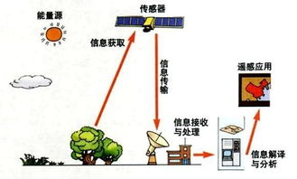 太阳低层大气多温小尺度热爆发的成因解析：从物理与化学角度剖析