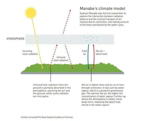 太阳低层大气多温小尺度热爆发的成因解析：从物理与化学角度剖析