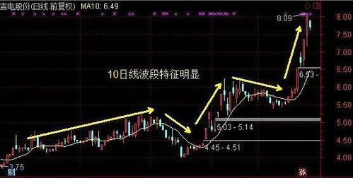 揭秘股市投资大师的秘诀：如何成为一个真正的股票神棍?