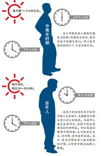 南方医科大学深入研究：发现维生素D水平与痴呆风险存在关联