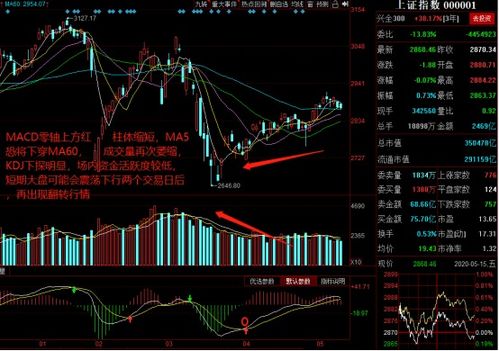 科技股潮涌动：更多的公司即将进行股票拆分