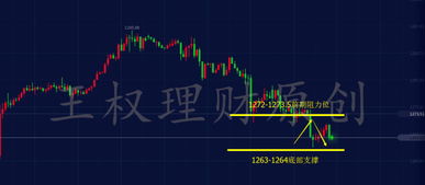 英国大选日期尘埃落定，苏纳克将放手一搏，媒体看法各异