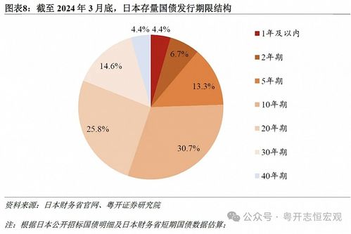 发行超长国债与宏观杠杆率提升：控制债务风险的关键任务