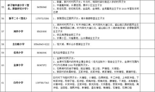 探索长沙县城区小学学区范围：家长们必备的查询工具