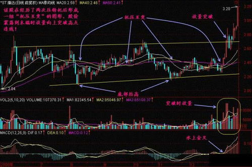 梦见撕心裂肺：解读未来可能的警示和趋势