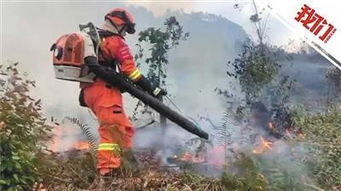 十一世葬礼中137人遇难，为何这场灾难不是天灾？消防员纵火，林业官员主谋，最终被定罪