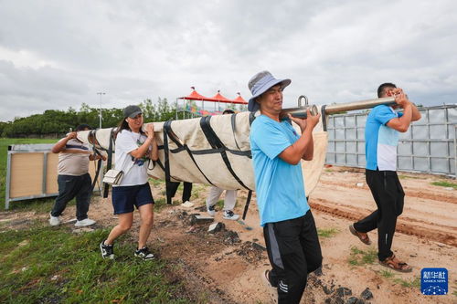 三亚搁浅短肢领航鲸‘海棠’成功获救并放归大海