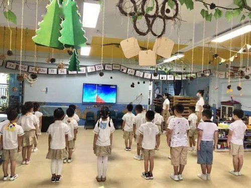 85后掀起深圳幼儿园改建热潮：未来有望转型成为养老院