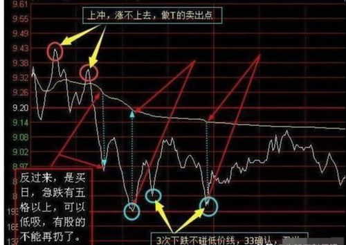 美国股市切换至T+1结算方式：投资策略需进行调整