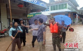 民众安全受威胁：未及时发布暴雨预警的乡镇，需承担何种后果?