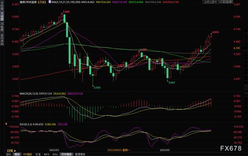 黄金价格展望：如何看待市场的未来分歧，分析师给出详细分析