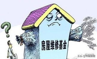 邻居们的冷漠态度：房屋重建后为何不愿意与我相见？