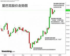 阿里全面转型：一场大公司病的抵抗与治理