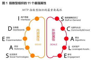 阿里全面转型：一场大公司病的抵抗与治理