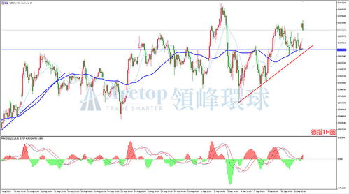 午后A股涨0.37%，电力和电网股延续活跃走势