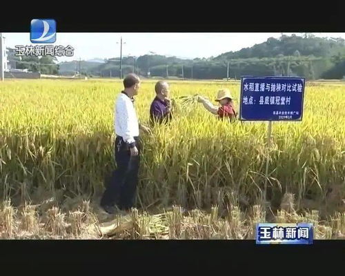 今年夏天的丰收密码，一起解锁新一季的成功