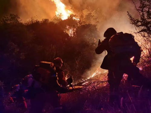 沈阳一干部在山火现场处置中身亡，出事后仍坚守岗位上班