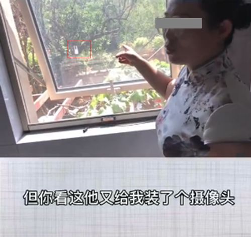 邻居对新家的热情欢迎被老房子的翻新反应冷淡