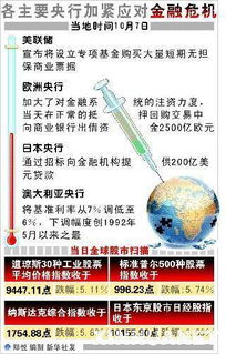 全球多地因极端高温天气发布预警，紧急应对措施纷纷出台