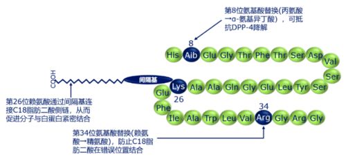 司美格鲁肽：如何帮助慢性肾病合并2型糖尿病患者更好地管理血糖