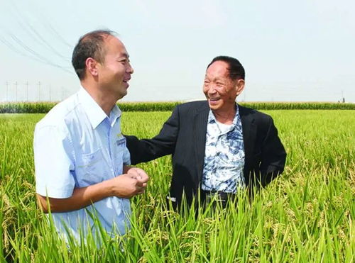 九旬院士徐如人：从幼苗到丰果，科研之路的不息绽放