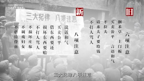 岁月如歌，8位亲历者述说人民军队铁的纪律与奉献——记上海故事：1949-2024