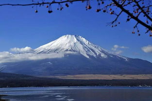 富士山罗森游客暴增引发当地不满：黑幕遮挡现象日益严重