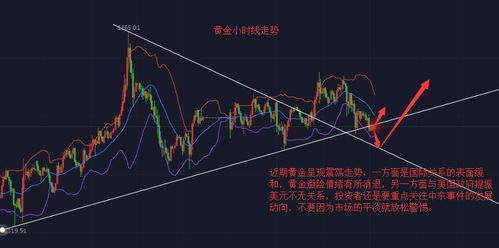 中金：不会回吐所有港股市场涨幅，已调适市场环境