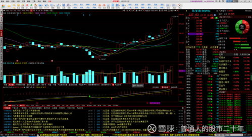 减肥药行业重新燃起风潮，新增53亿美元投资引全球关注