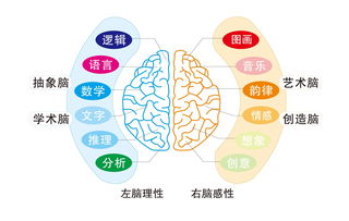 了解老年人反应慢的原因：是不是脑部出现问题呢?