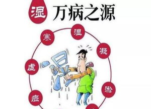 掌握这些湿气消除技巧，让你快速告别体内的湿气