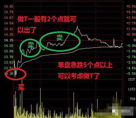 今日股票交易：T+1结算周期正式开启，立即把握投资机会!