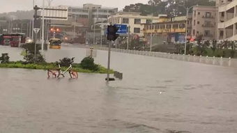 广东今早迎来深红色暴雨，龙舟水将在未来几天逐步显现

这个标题包含了事件的主要信息和时间线，同时也强调了重要性和紧迫性。同时，“龙舟水”一词也能引发读者的好奇心，引导他们阅读下去获取更多详细的信息。