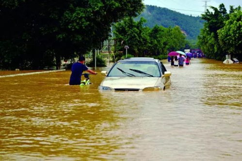 广东今早迎来深红色暴雨，龙舟水将在未来几天逐步显现

这个标题包含了事件的主要信息和时间线，同时也强调了重要性和紧迫性。同时，“龙舟水”一词也能引发读者的好奇心，引导他们阅读下去获取更多详细的信息。