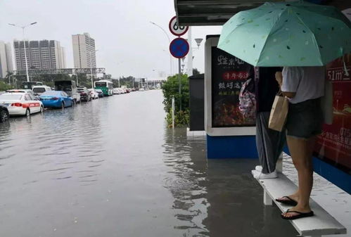 广东今早迎来深红色暴雨，龙舟水将在未来几天逐步显现

这个标题包含了事件的主要信息和时间线，同时也强调了重要性和紧迫性。同时，“龙舟水”一词也能引发读者的好奇心，引导他们阅读下去获取更多详细的信息。