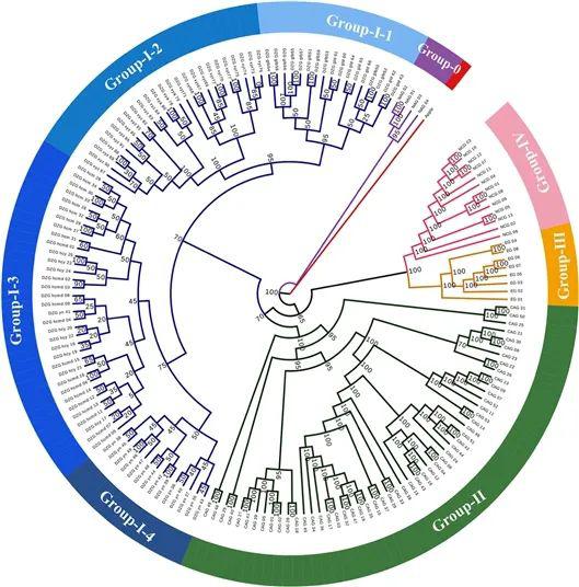 科学家揭示生物起源之谜：解开那些遗失的生化线索