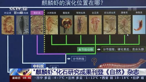 科学家揭示生物起源之谜：解开那些遗失的生化线索